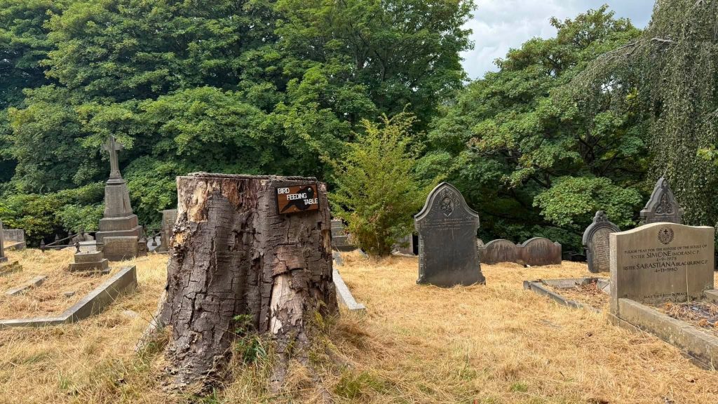 Bird feeding tables placed throughout the cemetery to support local wildlife.