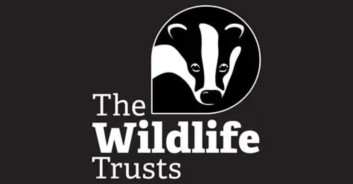 badger